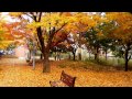 Video 2014-1-221 Autumn music/50 CARLA BRUNI ...
