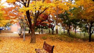 Video 2014-1-221 Autumn music/50   CARLA BRUNI &quot;Autumn&quot;