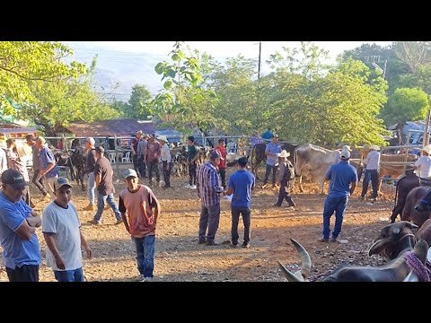 tiangue de Osicala, Morazán, El Salvador, viernes 10 de abril 2026