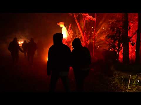 Dark Forest 2023 (Sneak Peek #1)