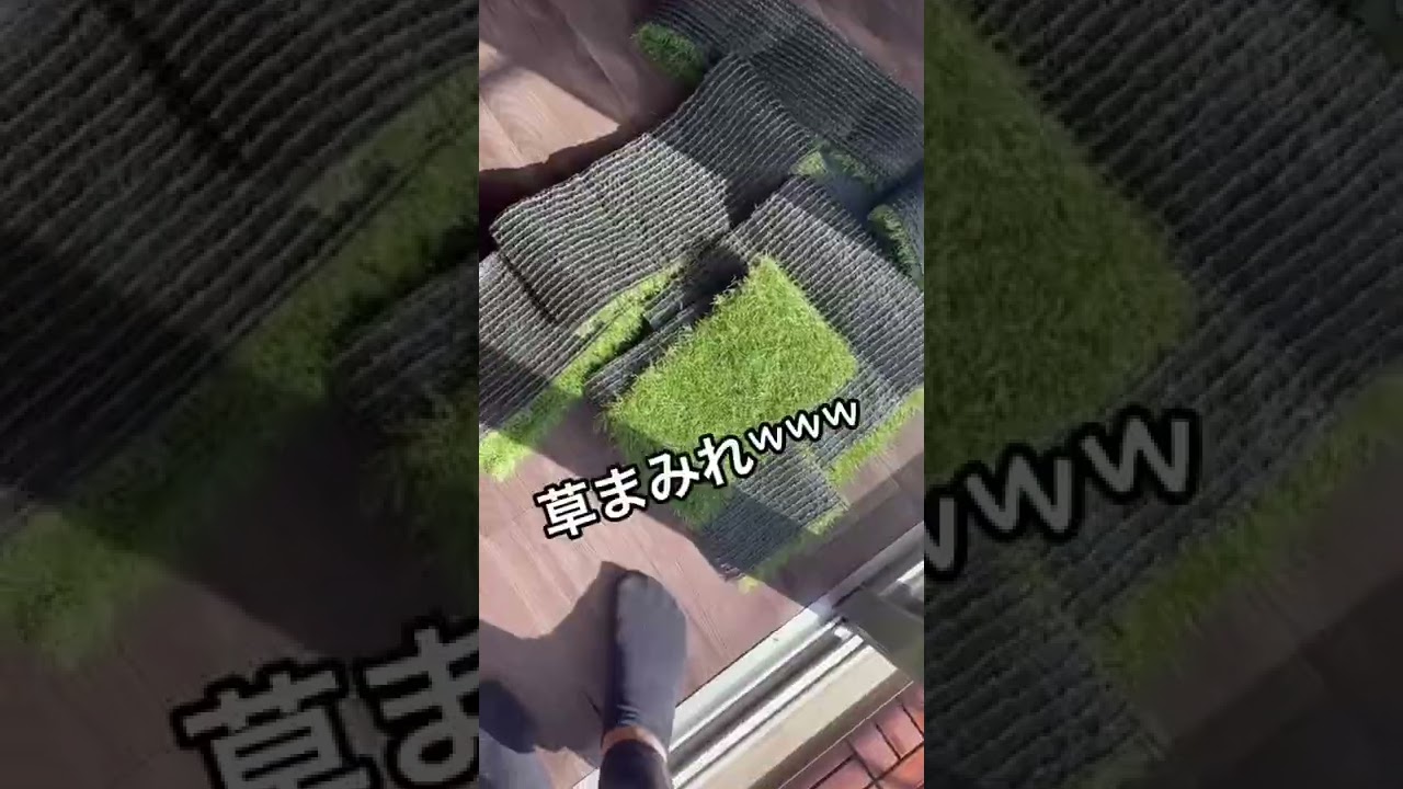 姉の部屋を、妹がDIYしてみた。#19日目 #diy #shorts #tiktok