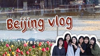 【中國交換】告別交換生活｜在北京的每一刻都是難忘的回憶 #中國傳媒大學 #交換學生