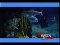 WETA Kids ID Underwater