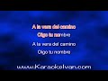 Alejandro Fernández - A la vera del camino KARAOKE
