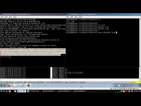 Windows Buffer Overflow Freefloat FTP Server