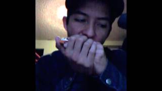 Trabajo forzado ``solo´´ - Interpretacion en armonica