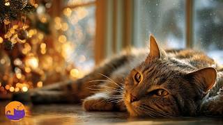 Soothing Christmas Lullabies for Cats - Gentle Festive Tunes 🎄🐱
