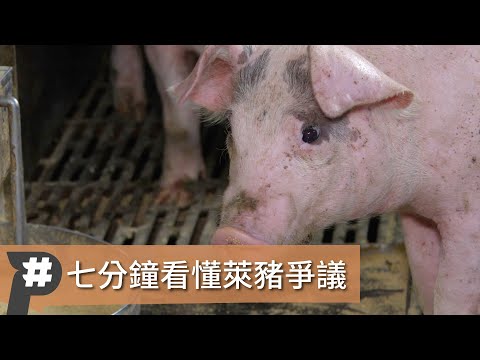 萊意思