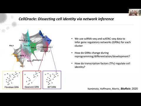 SCOG Virtual Lecture Series - Samantha Morris (WUSTL, St. Louis, USA)
