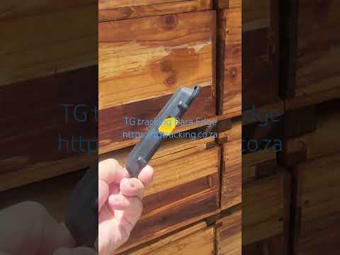 Beehive tracker  bara edge in hive #bee #bees #shorts