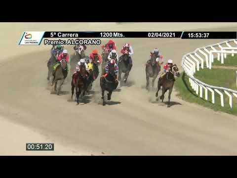 210402 c05 - GLOBAL AFFAIR (BRZ) - HIPODROMO LAS PIEDRAS