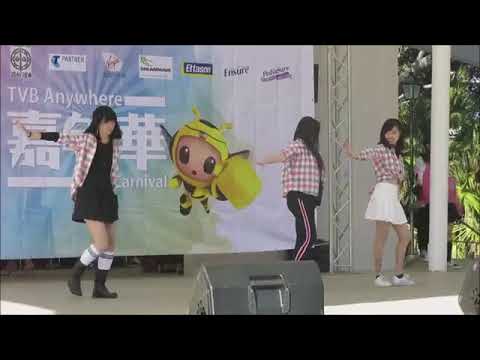 TVB Carnival | 2019 | Love D'fuse