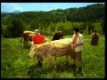 Bergenbier The Cow 2005