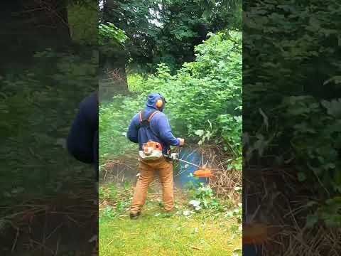 Blackberry Take Over -But Not For Long! #satisfying #backyard #forestrymulcher #stihl #lawn