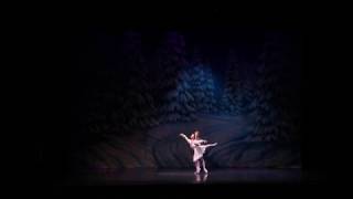 Nutcracker 2017 promo video