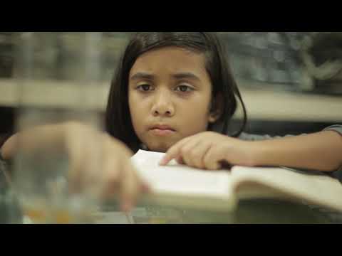 nikhil pawar FIzz - Shor...