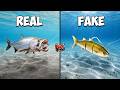 Real Vs Fake Saltwater Catch And Cook Challenge