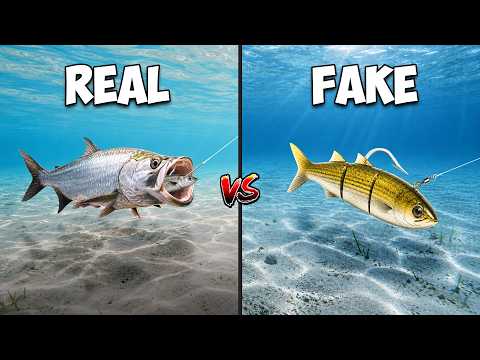 Real vs Fake Saltwater Catch and Cook Challenge