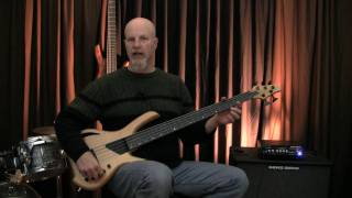 Lightwave Saber VL5 fretless bass