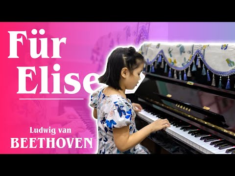 Piano cơ Kawai BL71 tại MPM - Chỉ từ 30 triệu