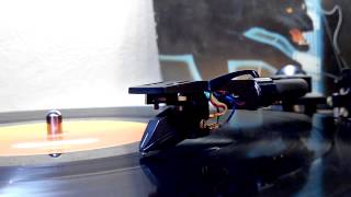 Passion, Grace & Fire - Al Di Meola (Vinyl)