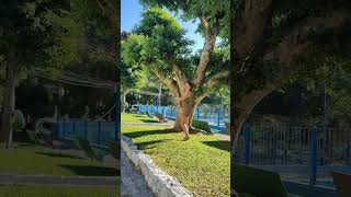 Download lagu 1,2,3,4(One, Tão, Three, Four) - Remix - Funbeat mp3