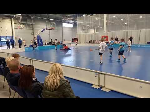 Lasb P11 -Pelicans P11