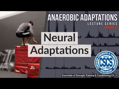 Neural Adaptations to Anaerobic Training | CSCS Chapter 5 (Henneman's Size Principle) thumbnail