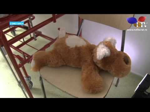 Caz revoltător într-o localitate din județul Constanța - Litoral TV