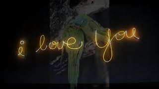 Nevon Marcus - Too Late To Worry, Too Blue To Cry (The Ronnie Milsap Cover)