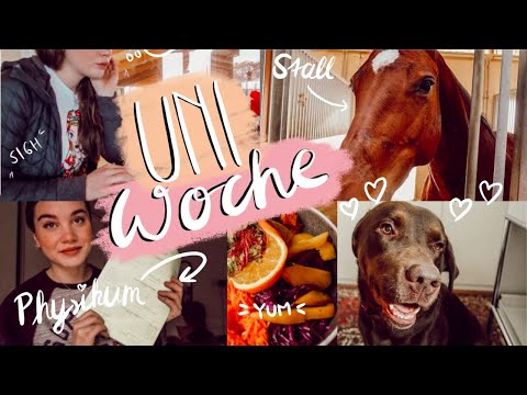VLOG meiner UNIWOCHE - UNI Organisation, Lernroutine, STUDENTENLEBEN