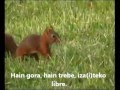 Urtxintxa - Pantxo eta Peio 