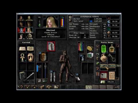 Wizardry 8 Reforged 22 - Small people