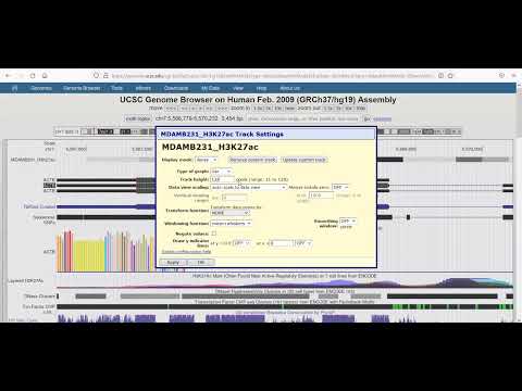 Uploading and Visualizing ChIP-Seq Data in the UCSC Genome Browser: A Step-by-Step Guide