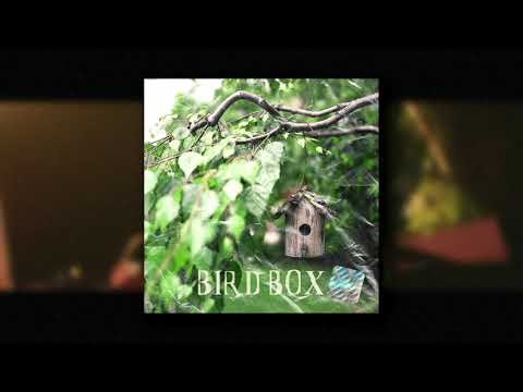 (FREE) Killy x Lil Skies Type Beat - Bird Box