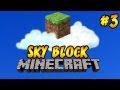 Minecraft: Sky Block | Ep.3, Odd Couple 