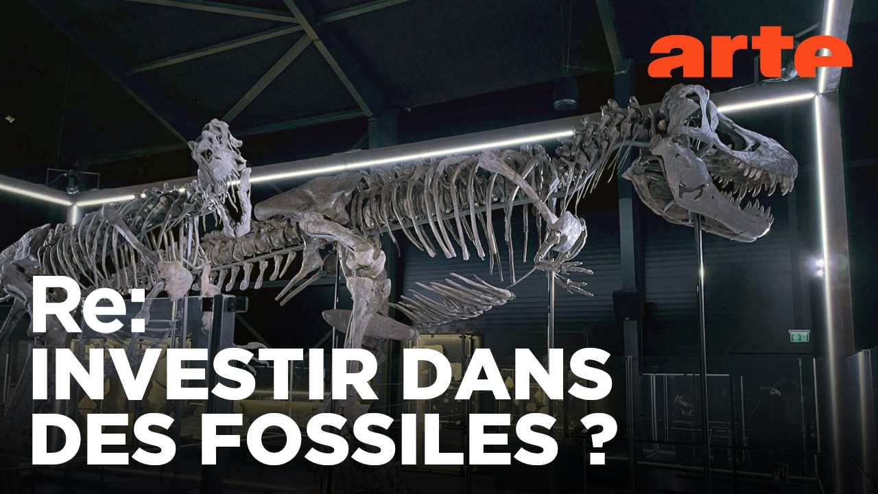Le business des fossiles de dinosaures | ARTE Regards