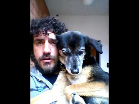 Video di Solo con un cane