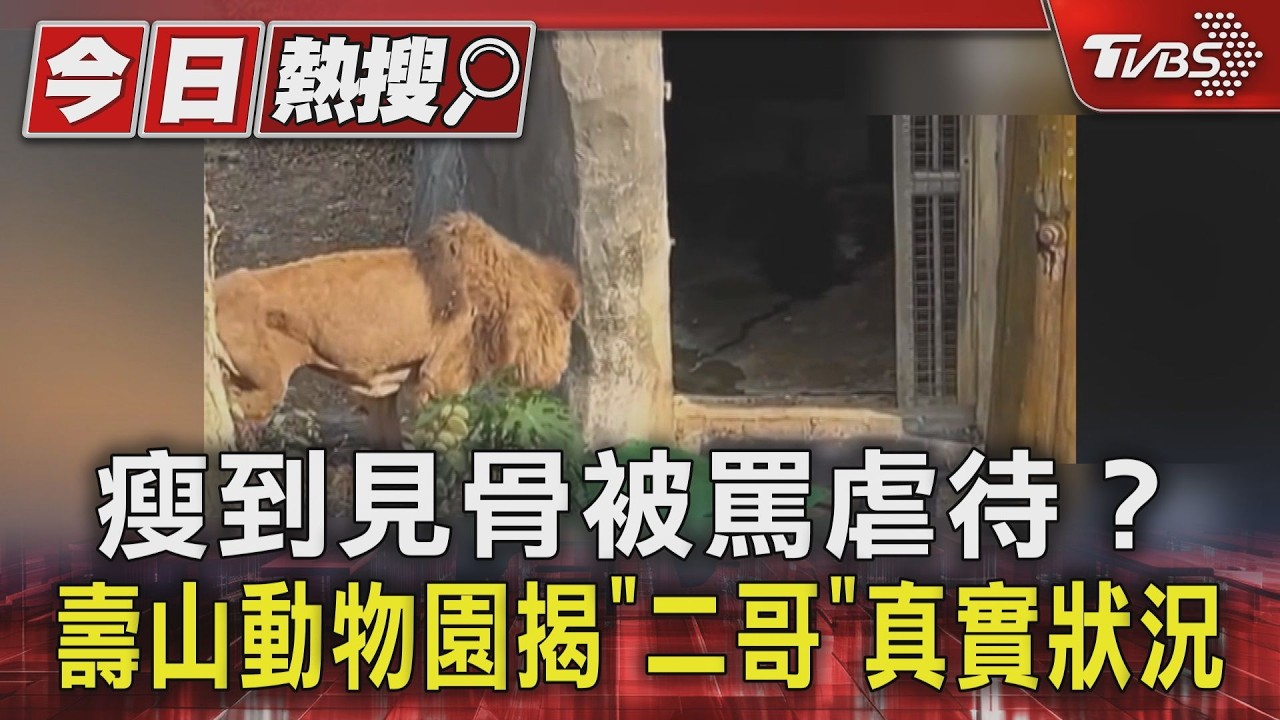影音／瘦到見骨被罵虐待？壽山動物園揭「二哥」真實狀況讓人心疼