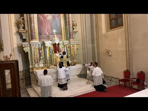 Missa Pro Defunctis - REQUIEM (Nitria); W. A. Mozart: Requiem D-moll, KV 626