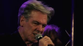 Don Walker - Jungle Pam (Live at the Factory Theatre - Official Music Video)
