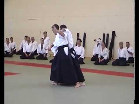 UKA Summer School Peter Brown Shihan 2008
