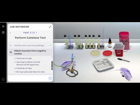 Pearson Interactive Labs | Biochemical Tests: Gram Positive