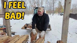 (Emotional Video) I'm Afraid He Won't Make It Through This!