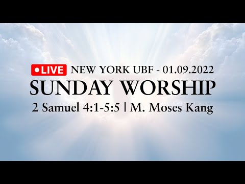 DAVID A SHEPHERD KING OVER ALL ISRAEL