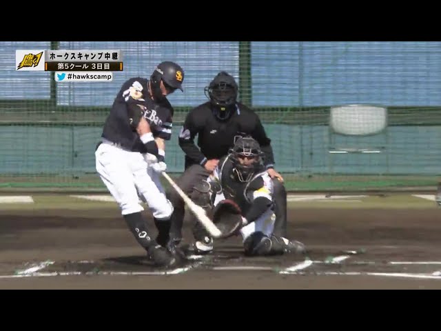 【ホークス春季キャンプ】この時期でもさすがのバットコントロール!! ホークス・中村晃が紅白戦で技ありヒット!! 2021/2/20