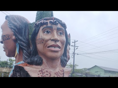 Vía Tena Loreto Napo Ecuador 