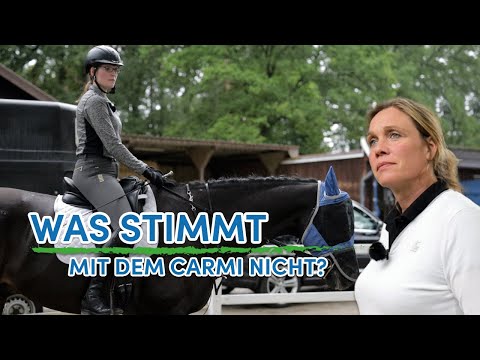 Pferd wirft Rätsel auf – Schreckhafter und unrittiger als beim letzten Besuch auf Hof Eicheneck