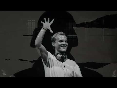 Avicii - Addicted To You Vs Snake (Mashup) (Visual Edit)