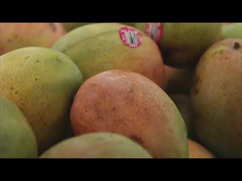 The Local Life: Star Market - College Life